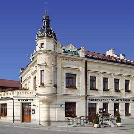 Hotel Jelinkova Vila Вельке-Мезіржічі Екстер'єр фото