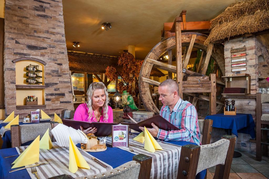 Hotel Jelinkova Vila Вельке-Мезіржічі Екстер'єр фото